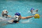 WWPolo vs CC  Wheaton College Women’s Water Polo compete in their sports inaugural match vs Connecticut College. - Photo By: KEITH NORDSTROM : Wheaton, water polo, inaugural